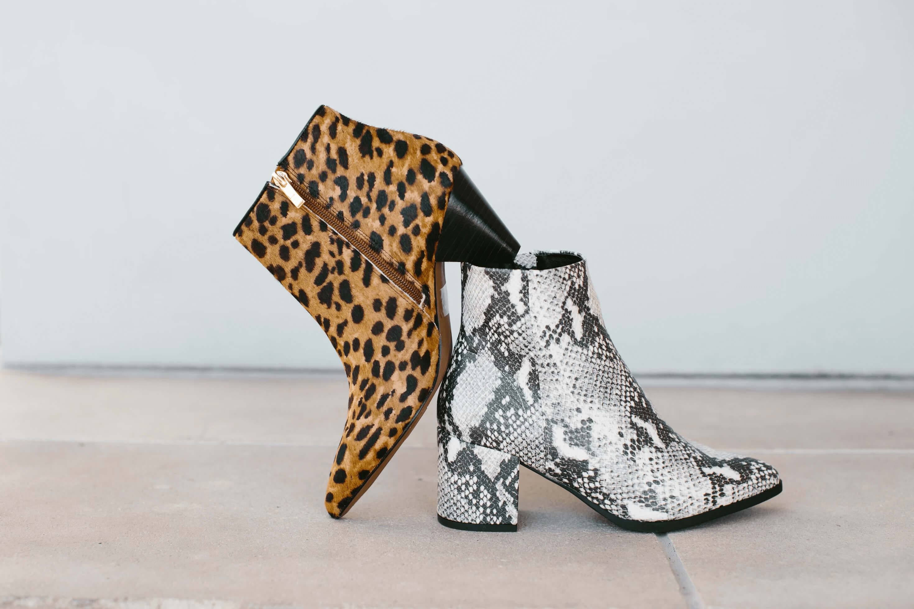 new-collections-img