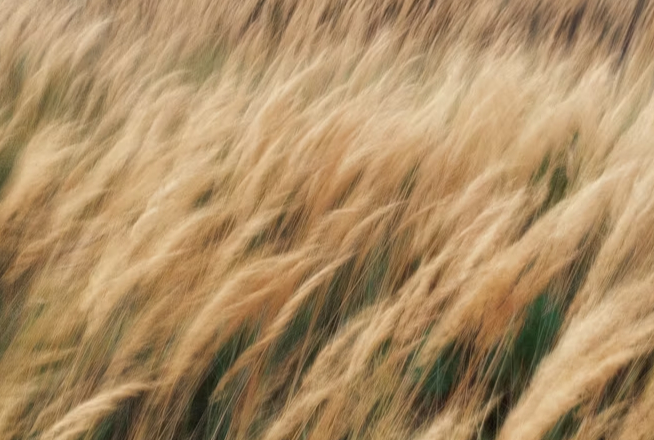 conversations-episodes-img