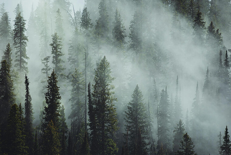 beyond-img